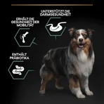 Purina Pro Plan Sensitive Digestion Lamb - Compleet voer voor volwassen honden van middelgroot formaat met een gevoelige spijsvertering, 3 kg