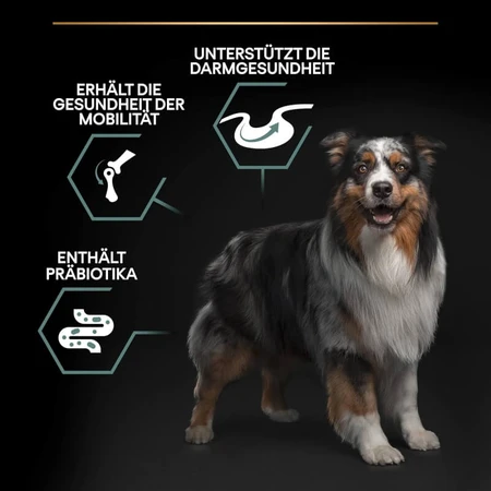 Purina Pro Plan Sensitive Digestion Lamb - Compleet voer voor volwassen honden van middelgroot formaat met een gevoelige spijsvertering, 3 kg
