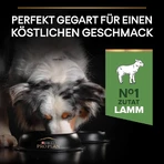 Purina Pro Plan Sensitive Digestion Lamb - Compleet voer voor volwassen honden van middelgroot formaat met een gevoelige spijsvertering, 3 kg