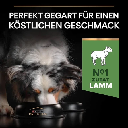 Purina Pro Plan Sensitive Digestion Lamb - Compleet voer voor volwassen honden van middelgroot formaat met een gevoelige spijsvertering, 3 kg