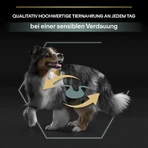 Purina Pro Plan Sensitive Digestion Lamb - Compleet voer voor volwassen honden van middelgroot formaat met een gevoelige spijsvertering, 3 kg