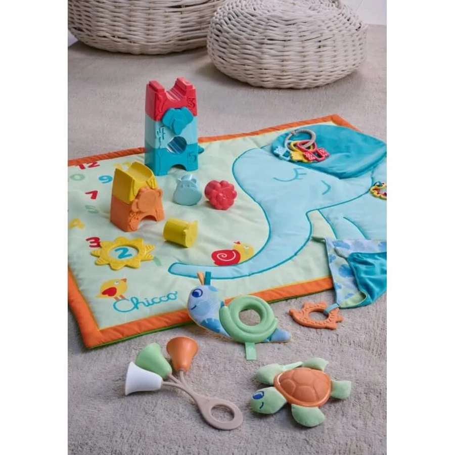 Chicco Milestone Mat