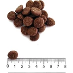 Prolife Cane Sensitive Puppy Lamm & Reis – Alleinfuttermittel für empfindliche Welpen (M/L) 2,5 kg