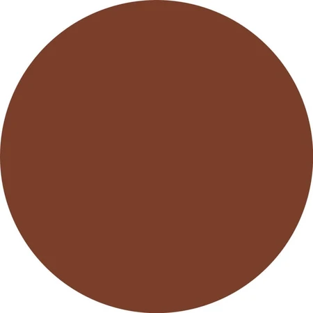 Essence Choco Bomb Shiny Lip Gloss - Lipgloss nr. 01 Chocoholic