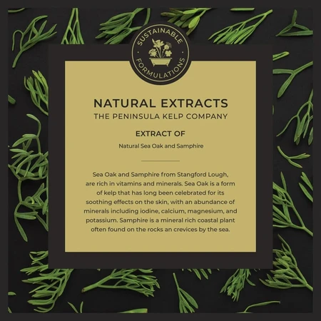  Wild Samphire - Lotion pour les mains 250 ml