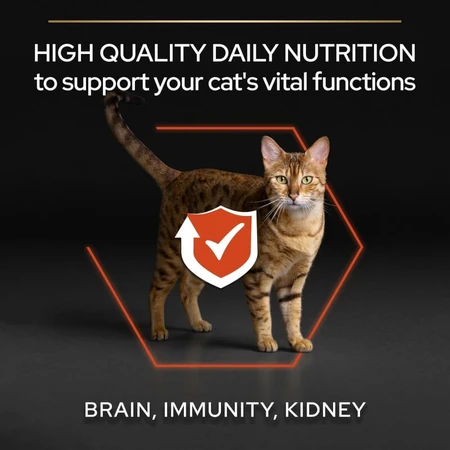 Purina Pro Plan Adult 1+ Vital Functions Salmón - Alimento completo para gatos adultos, 10 kg