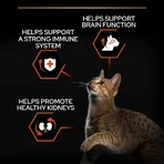 Purina Pro Plan Adult 1+ Vital Functions Salmón - Alimento completo para gatos adultos, 10 kg