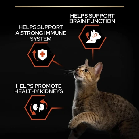 Purina Pro Plan Adult 1+ Vital Functions Salmón - Alimento completo para gatos adultos, 10 kg