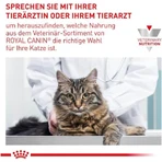 Royal Canin Expert Neutered Satiety Balance - Dry Food for Neutered Cats Up to 7 Years Old, 3.5 kg