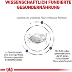 Royal Canin Expert Neutered Satiety Balance - Dry Food for Neutered Cats Up to 7 Years Old, 3.5 kg