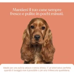 Bau Cosmetics Reinigingsgel met perzikgeur voor honden, zonder spoelen, 250 ml