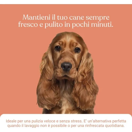Bau Cosmetics Reinigingsgel met perzikgeur voor honden, zonder spoelen, 250 ml