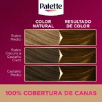Palette Intensive Color Creams – Permanente Haarfarbe Nr. 5,5 „Luminous Brown“