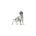 Royal Canin Pill Assist - Pienso para perros medianos y grandes que facilita la administración de comprimidos, 224 g