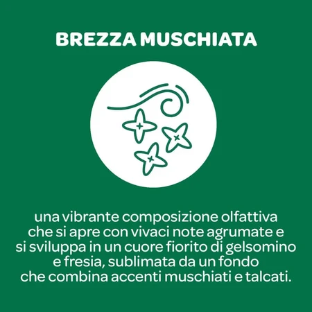 Pure Borotalco with a Musky Breeze Scent - 48-Hour Deodorant Spray, 150 ml