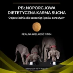 Purina Pro Plan Diet HP Hepatic - Aliment complet pour chiens souffrant de troubles hépatiques, 3 kg
