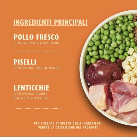Lily's Kitchen Small Breeds Countryside Casserole met kip, eend en zoete aardappelen - Droogvoer voor honden, 2,5 kg