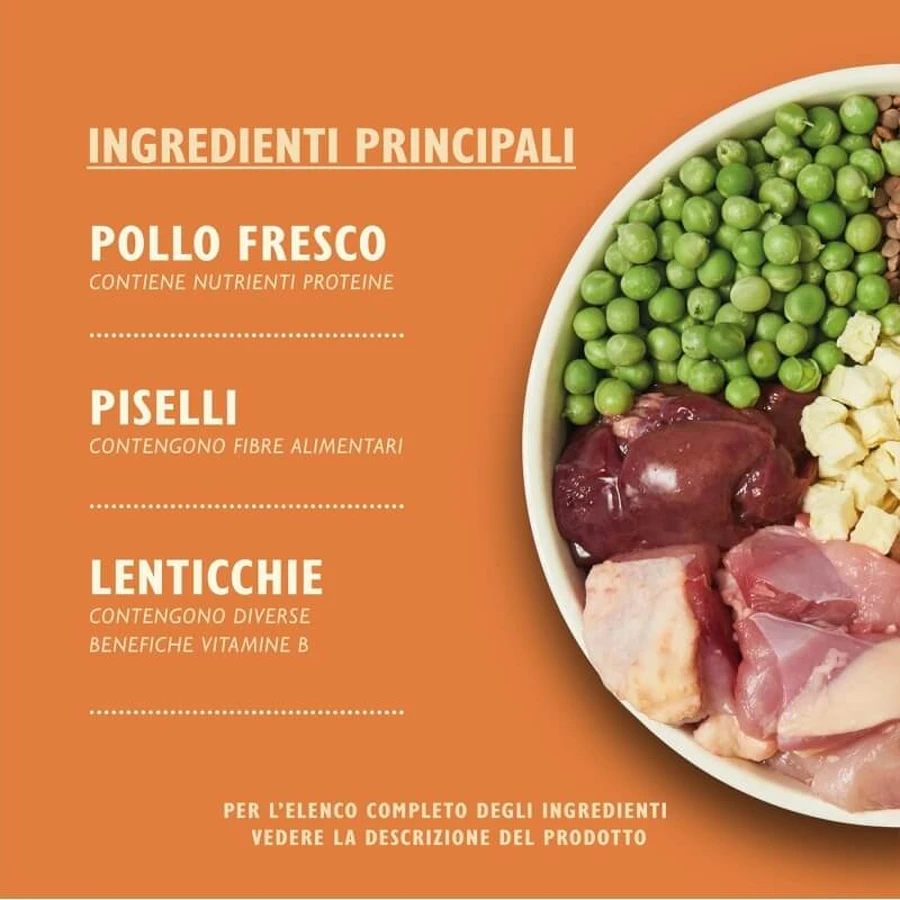 Lily's Kitchen Small Breeds Countryside Casserole met kip, eend en zoete aardappelen - Droogvoer voor honden, 2,5 kg