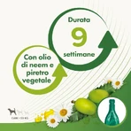 Beaphar Spot-on Shield - Natuurlijke bescherming voor grote volwassen honden met een gewicht van meer dan 30 kg, 6 flacons