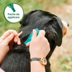 Beaphar Spot-on Shield - Natuurlijke bescherming voor grote volwassen honden met een gewicht van meer dan 30 kg, 6 flacons