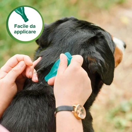 Beaphar Spot-on Shield - Natuurlijke bescherming voor grote volwassen honden met een gewicht van meer dan 30 kg, 6 flacons