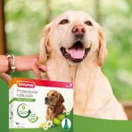 Beaphar Spot-on Shield - Natuurlijke bescherming voor grote volwassen honden met een gewicht van meer dan 30 kg, 6 flacons