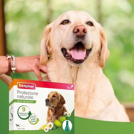 Beaphar Spot-on Shield - Natuurlijke bescherming voor grote volwassen honden met een gewicht van meer dan 30 kg, 6 flacons