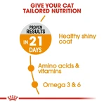 Royal Canin Hair & Skin Care - Alimento completo para la salud de la piel y el pelaje de los gatos, 10 kg
