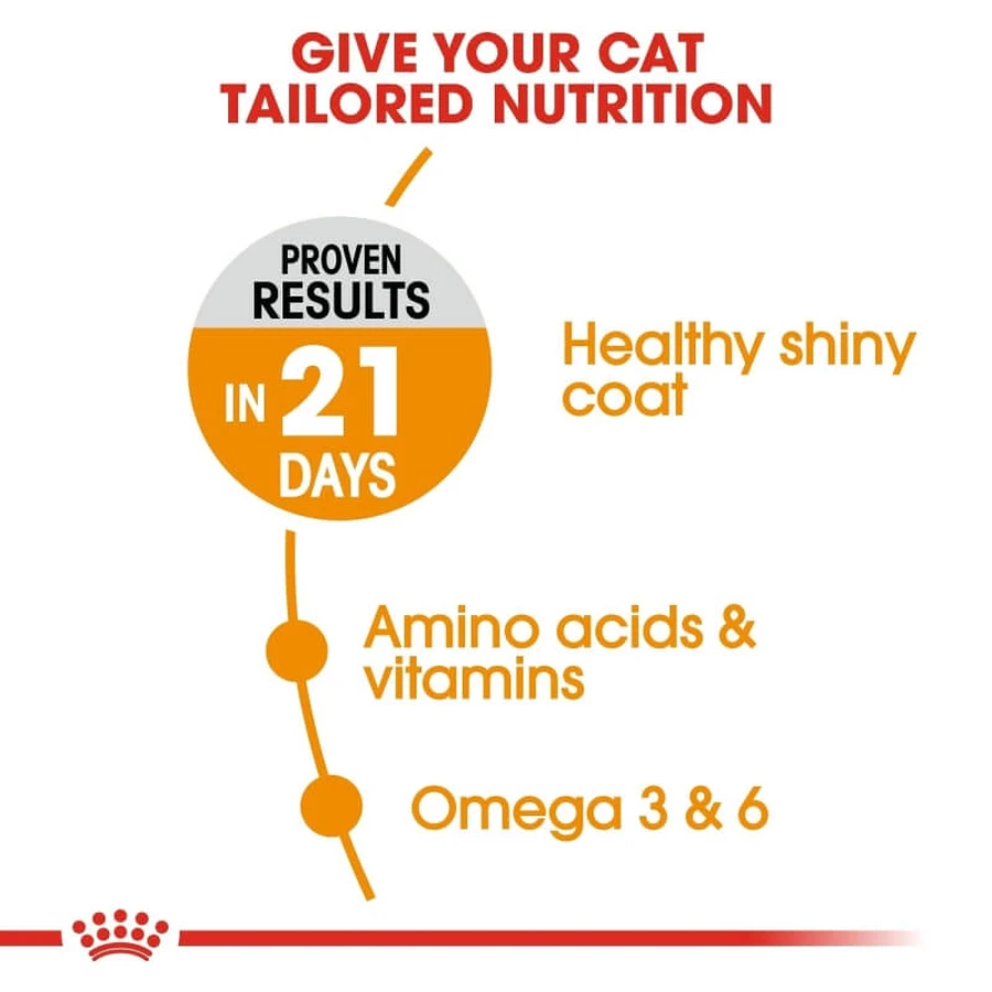 Royal Canin Hair & Skin Care - Alimento completo para la salud de la piel y el pelaje de los gatos, 10 kg