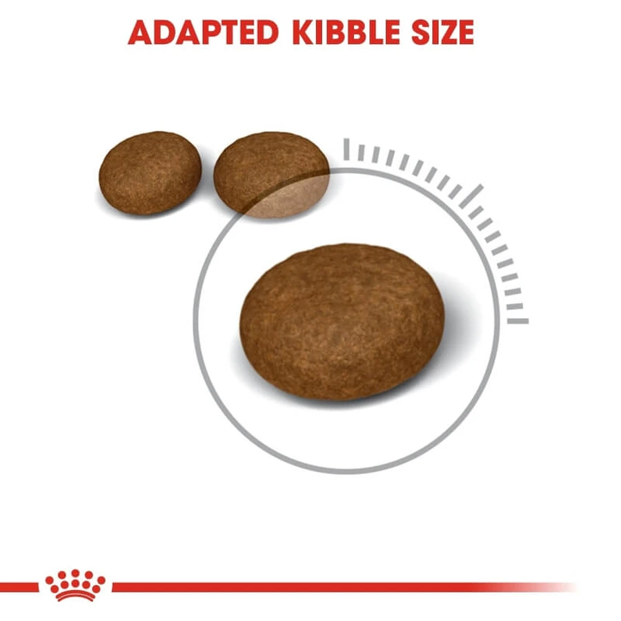 Royal Canin Hair & Skin Care - Alimento completo para la salud de la piel y el pelaje de los gatos, 10 kg