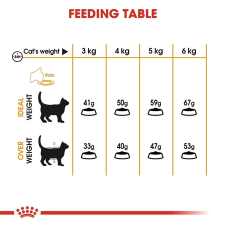 Royal Canin Hair & Skin Care - Alimento completo para la salud de la piel y el pelaje de los gatos, 10 kg
