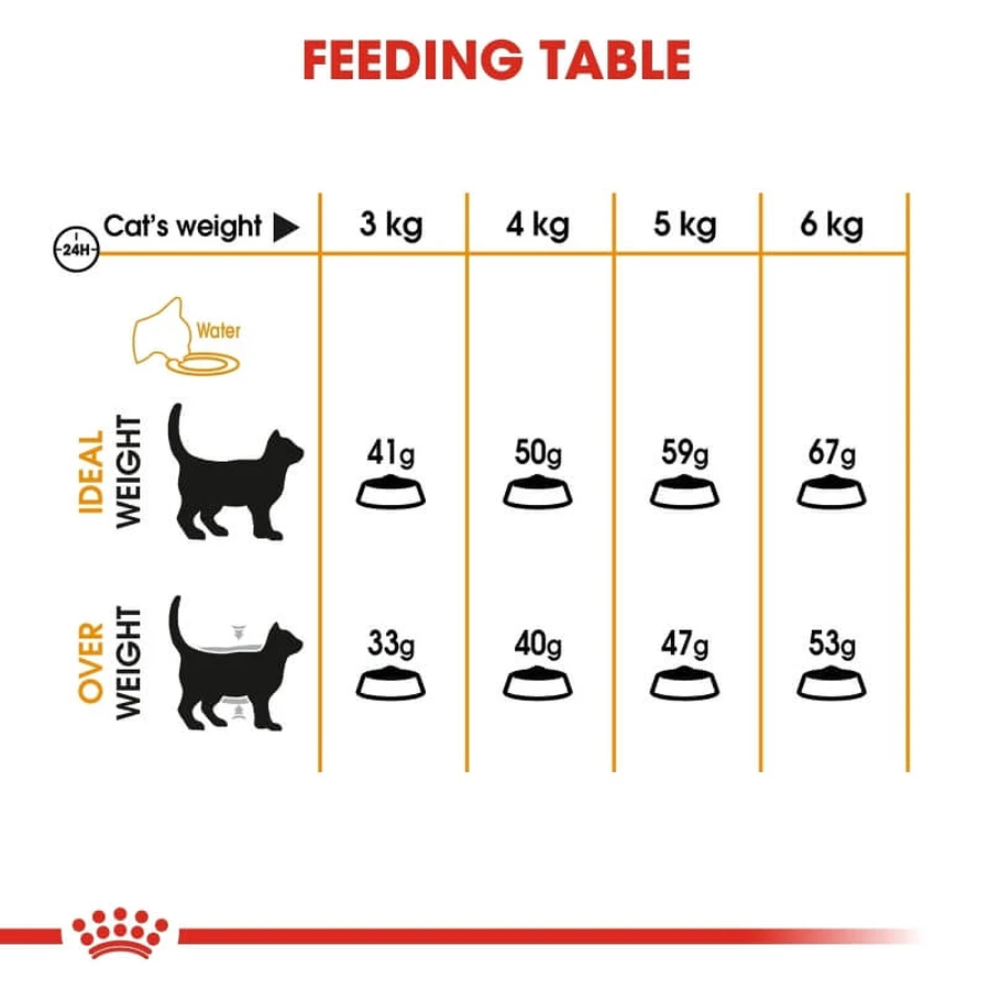 Royal Canin Hair & Skin Care - Alimento completo para la salud de la piel y el pelaje de los gatos, 10 kg