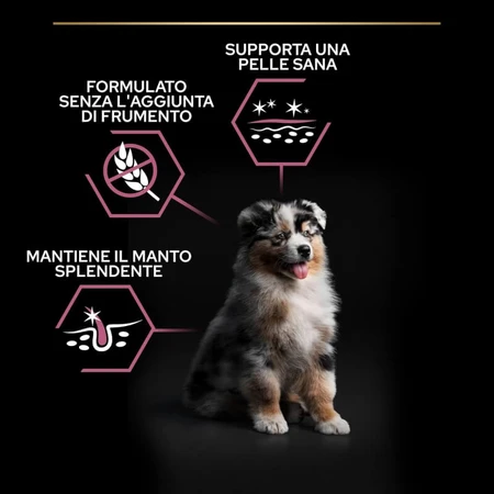Purina Pro Plan Medium Puppy Sensitive Skin met zalm - Compleet hondenvoer, 12 kg