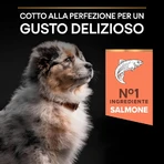 Purina Pro Plan Medium Puppy Sensitive Skin met zalm - Compleet hondenvoer, 12 kg