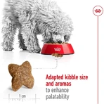 Royal Canin Mini Adult - Alimento completo para perros adultos de razas pequeñas, 800 g