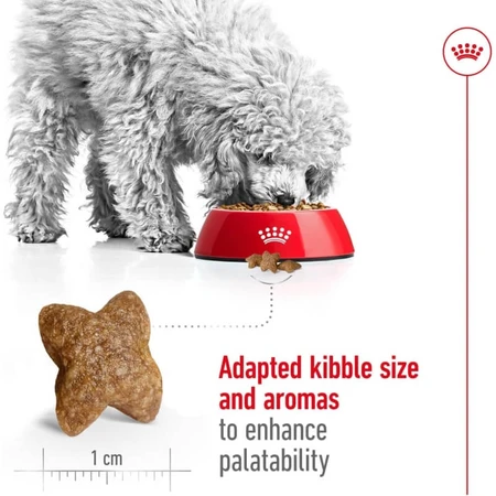 Royal Canin Mini Adult - Alimento completo para perros adultos de razas pequeñas, 800 g