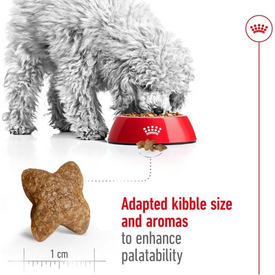 Royal Canin Mini Adult - Alimento completo para perros adultos de razas pequeñas, 800 g