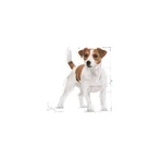 Royal Canin Mini Adult - Alimento completo para perros adultos de razas pequeñas, 800 g