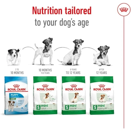 Royal Canin Mini Adult - Alimento completo para perros adultos de razas pequeñas, 800 g