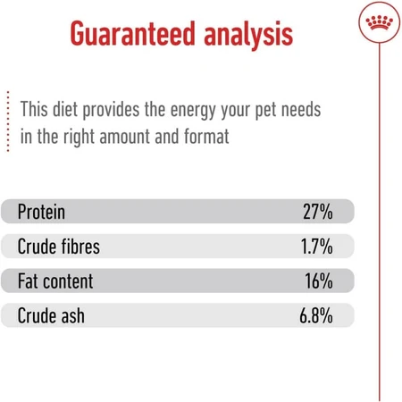 Royal Canin Mini Adult - Alimento completo para perros adultos de razas pequeñas, 800 g