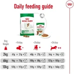 Royal Canin Mini Adult - Alimento completo para perros adultos de razas pequeñas, 800 g
