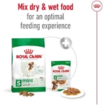 Royal Canin Mini Adult - Alimento completo para perros adultos de razas pequeñas, 800 g