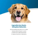 Farmina Vet Life Hypoallergenic Varkensvlees & Aardappel - Compleet voer voor honden met voedselintoleranties, 300 g