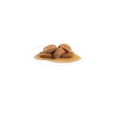 Royal Canin Maxi Adult - Aliment complet pour grands chiens adultes, 140 g