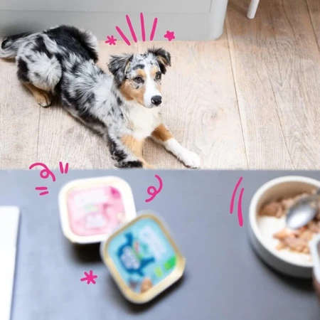 Edgard & Cooper Puppy Kip & Vis - Natvoer voor puppy's, 100 g