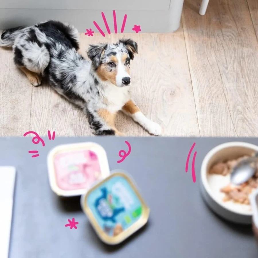 Edgard & Cooper Puppy Kip & Vis - Natvoer voor puppy's, 100 g
