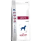 Royal Canin Veterinary Dog Hepatic - Dry Dog Food, 12 kg
