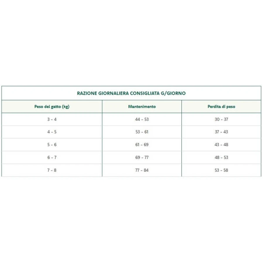 Oasy Superior Formula para gatos adultos esterilizados con salmón - Alimento completo para gatos adultos castrados o esterilizados, 6 kg