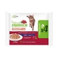Natural Trainer Salmon - Bites in Sauce for Adult Cats, 4 x 85 g