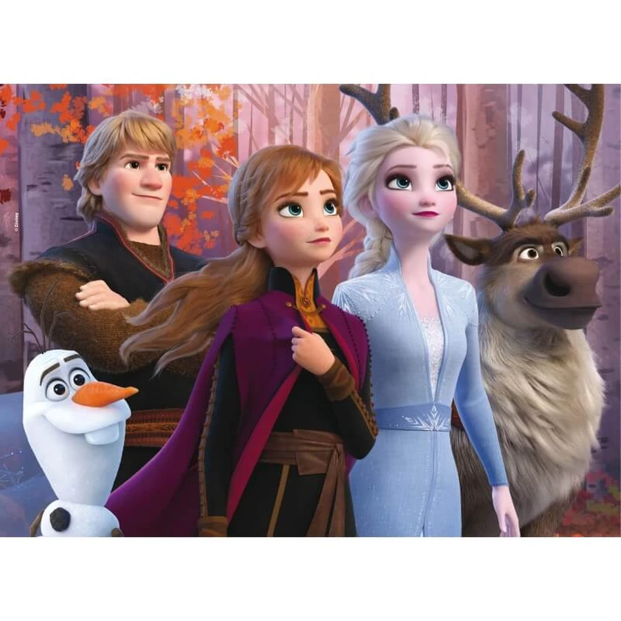 Lisciani Disney Frozen II – 24-teiliges doppelseitiges Maxi-Bodenpuzzle mit einer Malvorlage auf der Rückseite
